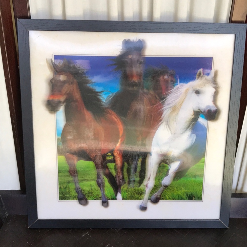 3-D framed picture horses
